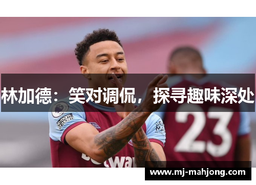 林加德：笑对调侃，探寻趣味深处