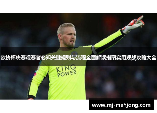 欧协杯决赛观赛者必知关键规则与流程全面解读指南实用观战攻略大全 欧协杯决赛观赛者必知关键规则与流程全面解读指南实用观战攻略大全