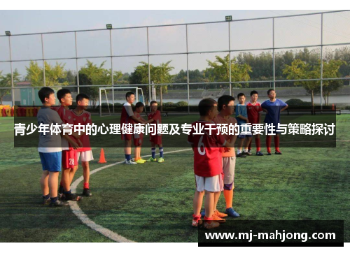 青少年体育中的心理健康问题及专业干预的重要性与策略探讨